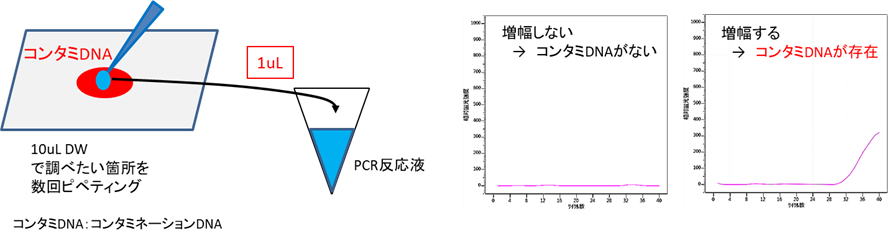 図２　コンタミネーションの調べ方